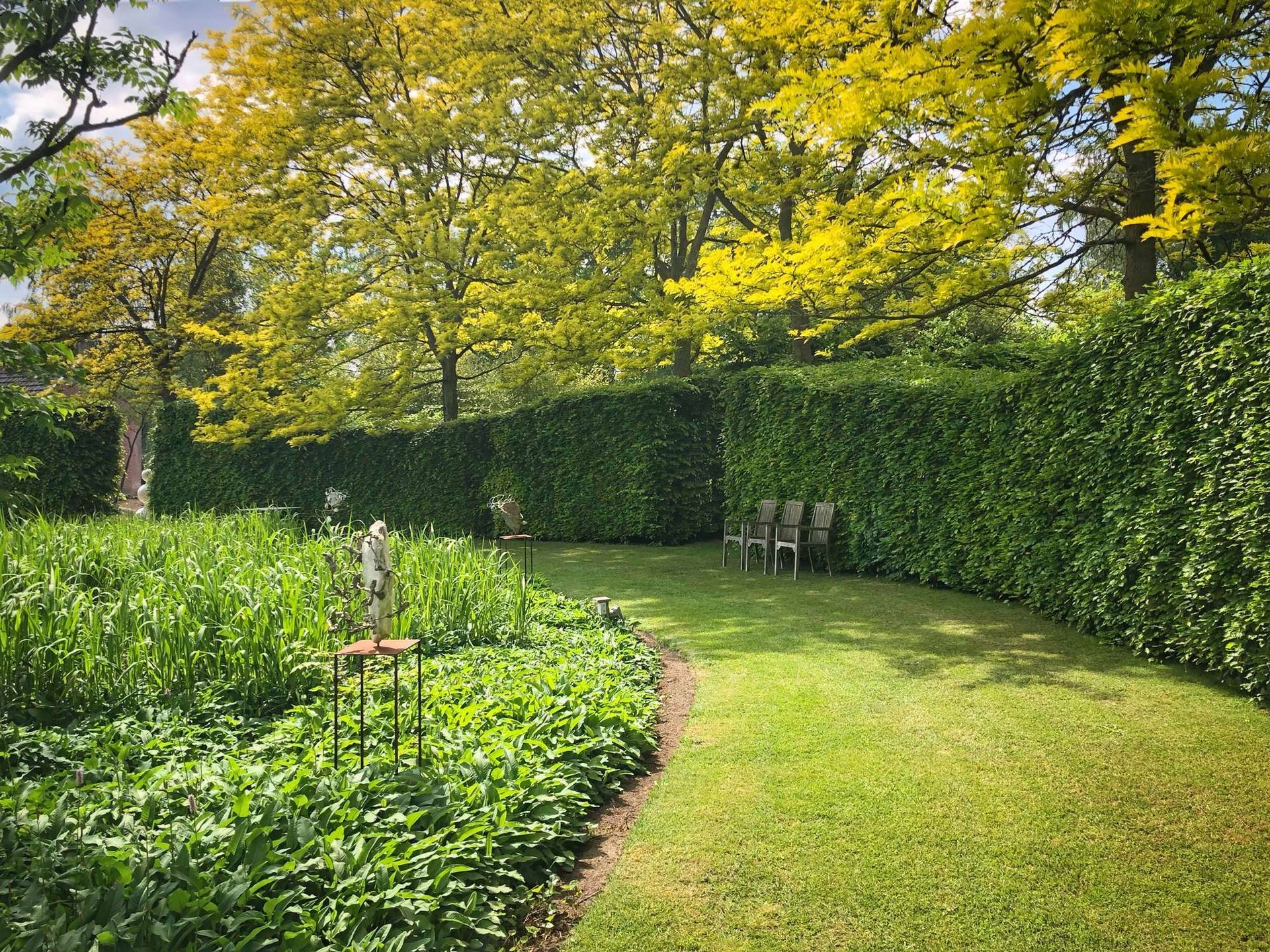 Groene tuin met een haag en een graspad dat leidt naar stoelen onder een boom met gele bladeren.