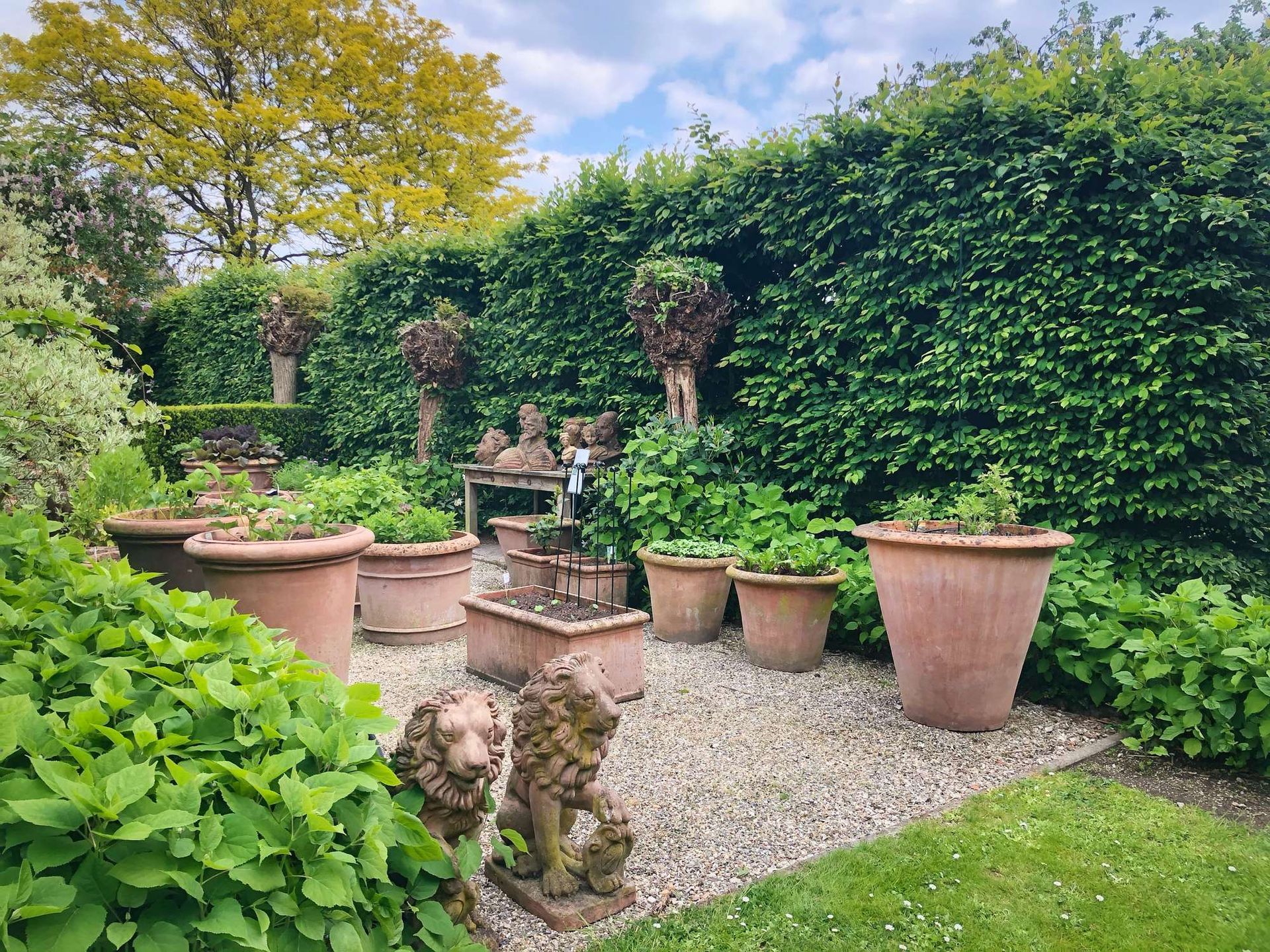Een tuinscène met terracotta potten, beelden en weelderig groen tegen een dichte haag.