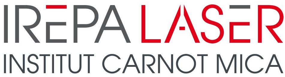 Logo IREPA LASER