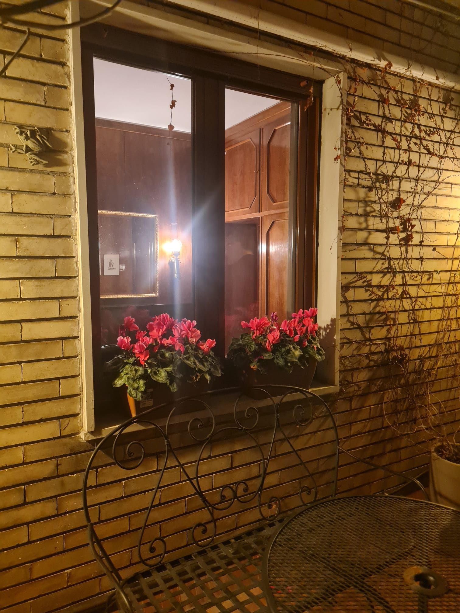 Finestra con fiori rosa, ante interne degli armadi e un muro di mattoni con viticci.