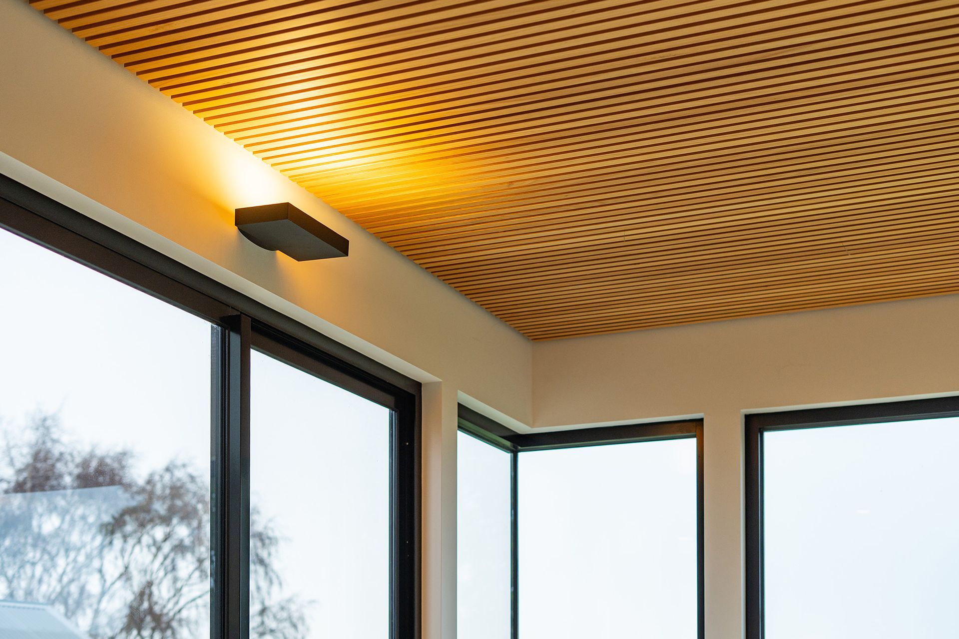 ceiling and lighting detail
