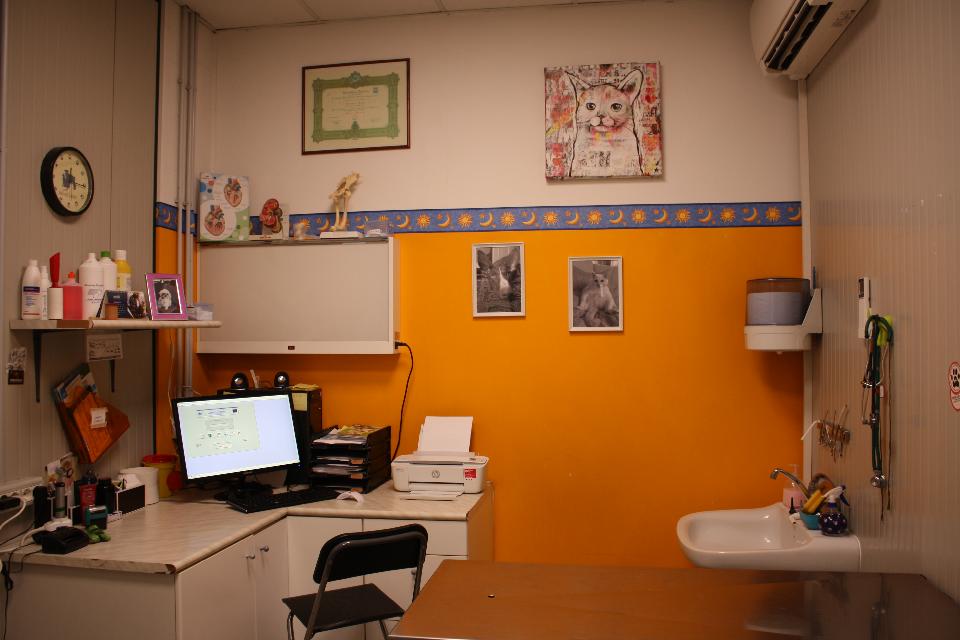 Sala visite veterinarie