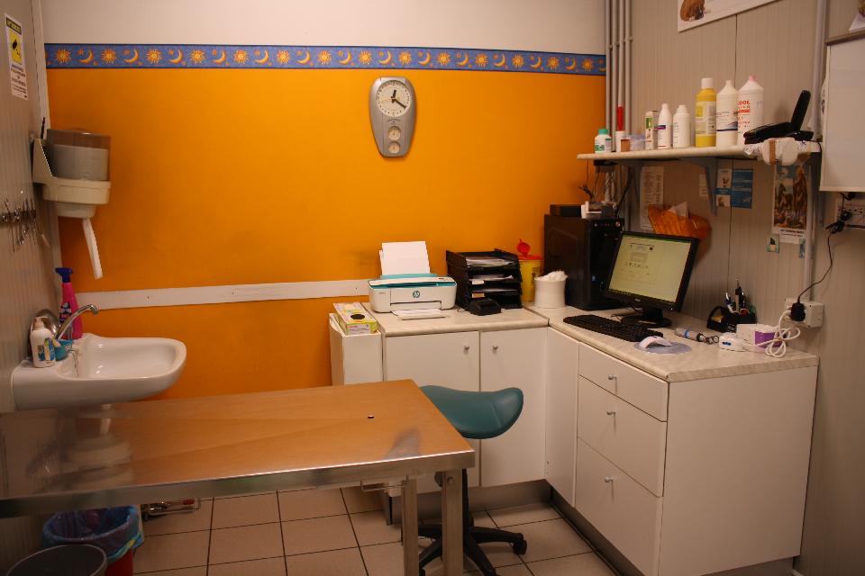 Ambulatorio veterinario