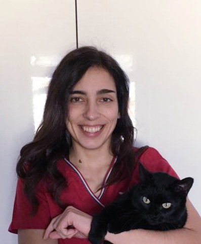 Ecografista veterinaria