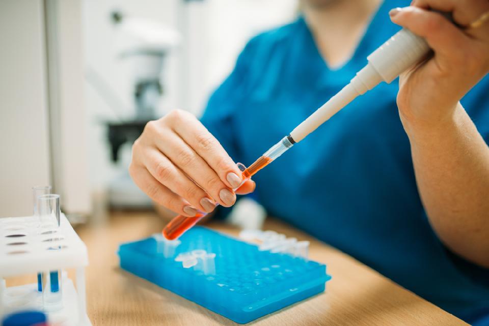 Analisi veterinarie presso clinica a Brescia e provincia