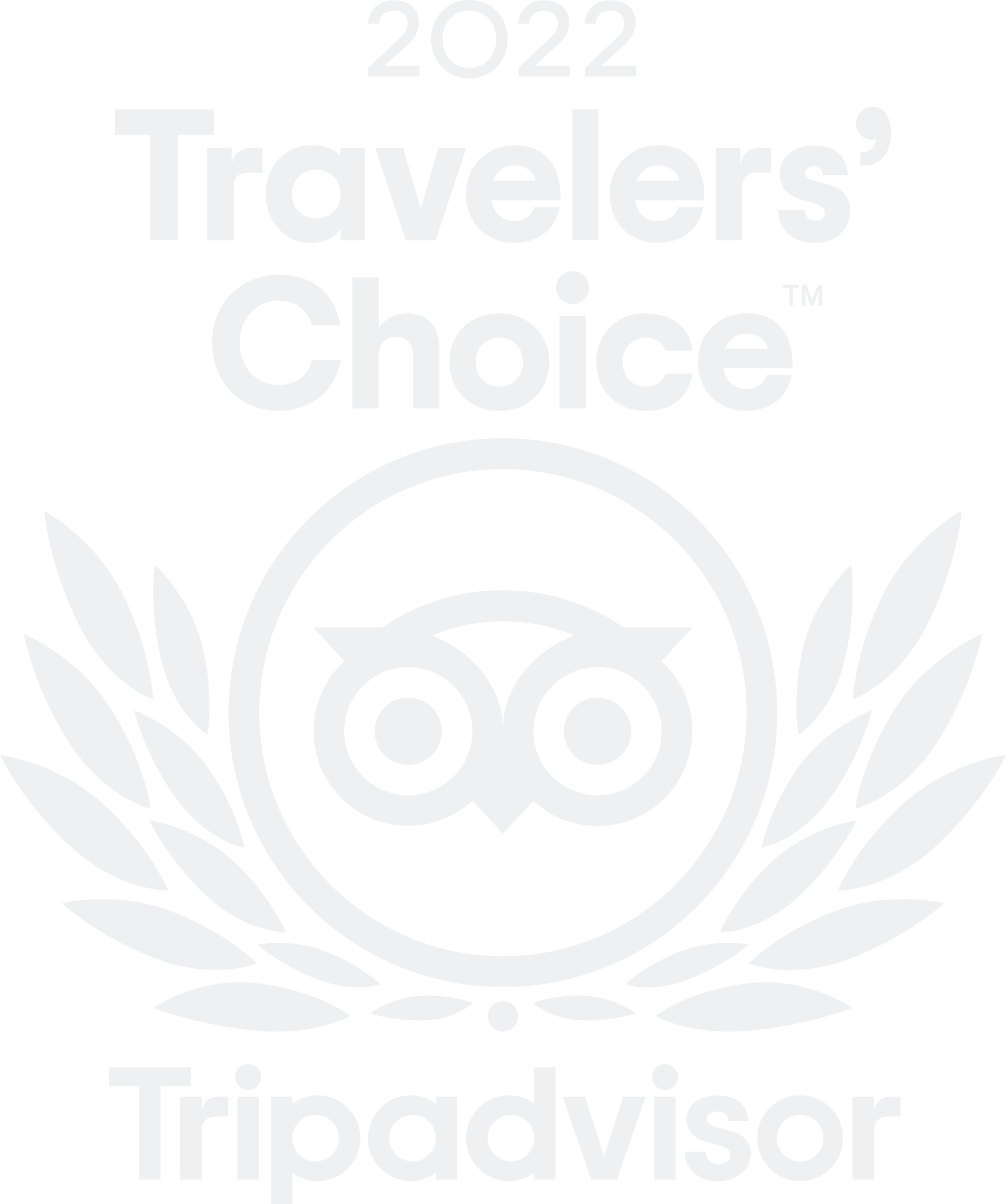 Logo Travelers' Choice