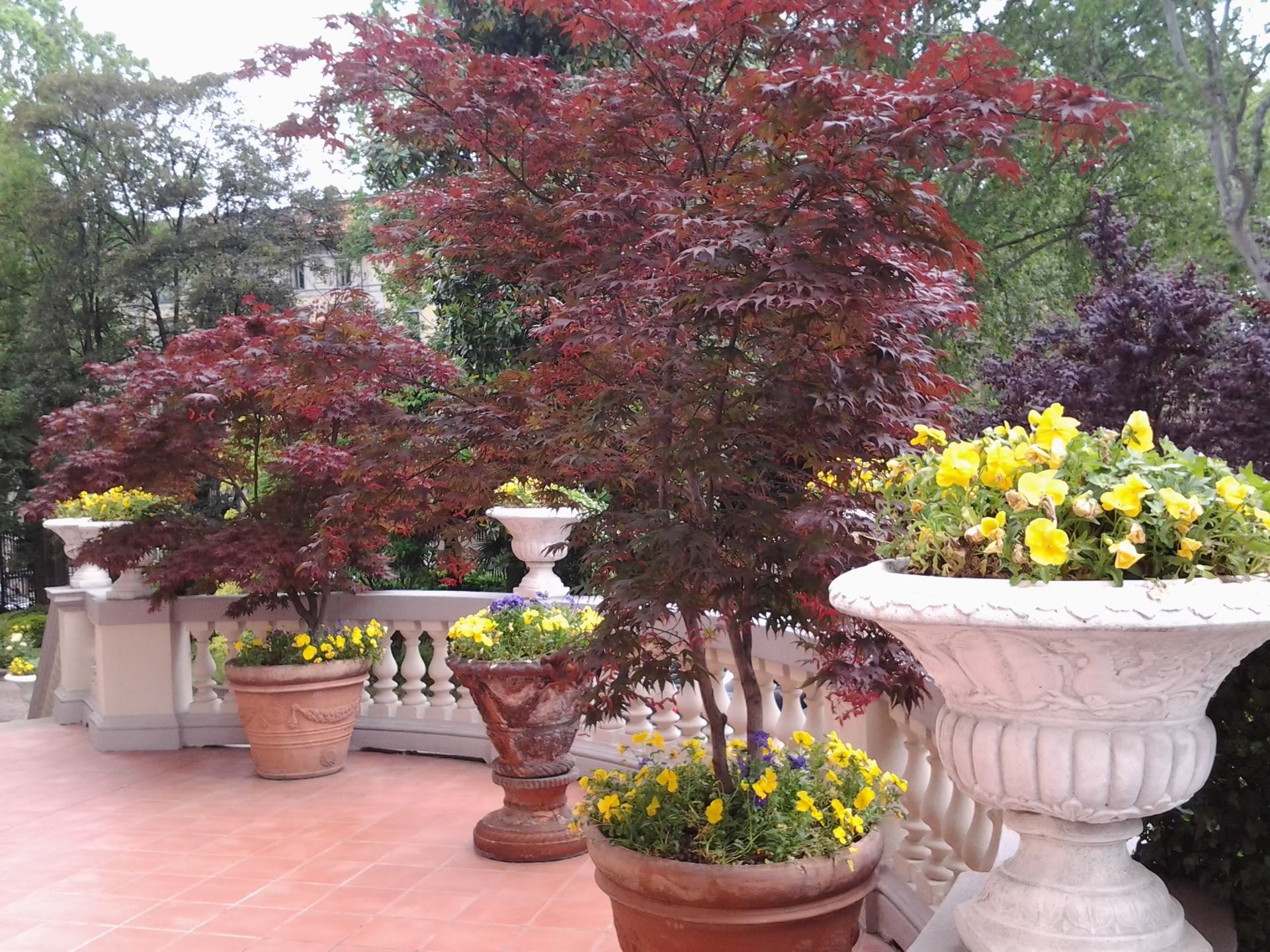 progettazione di giardini e aree verdi a Torino e provincia con Gardeland