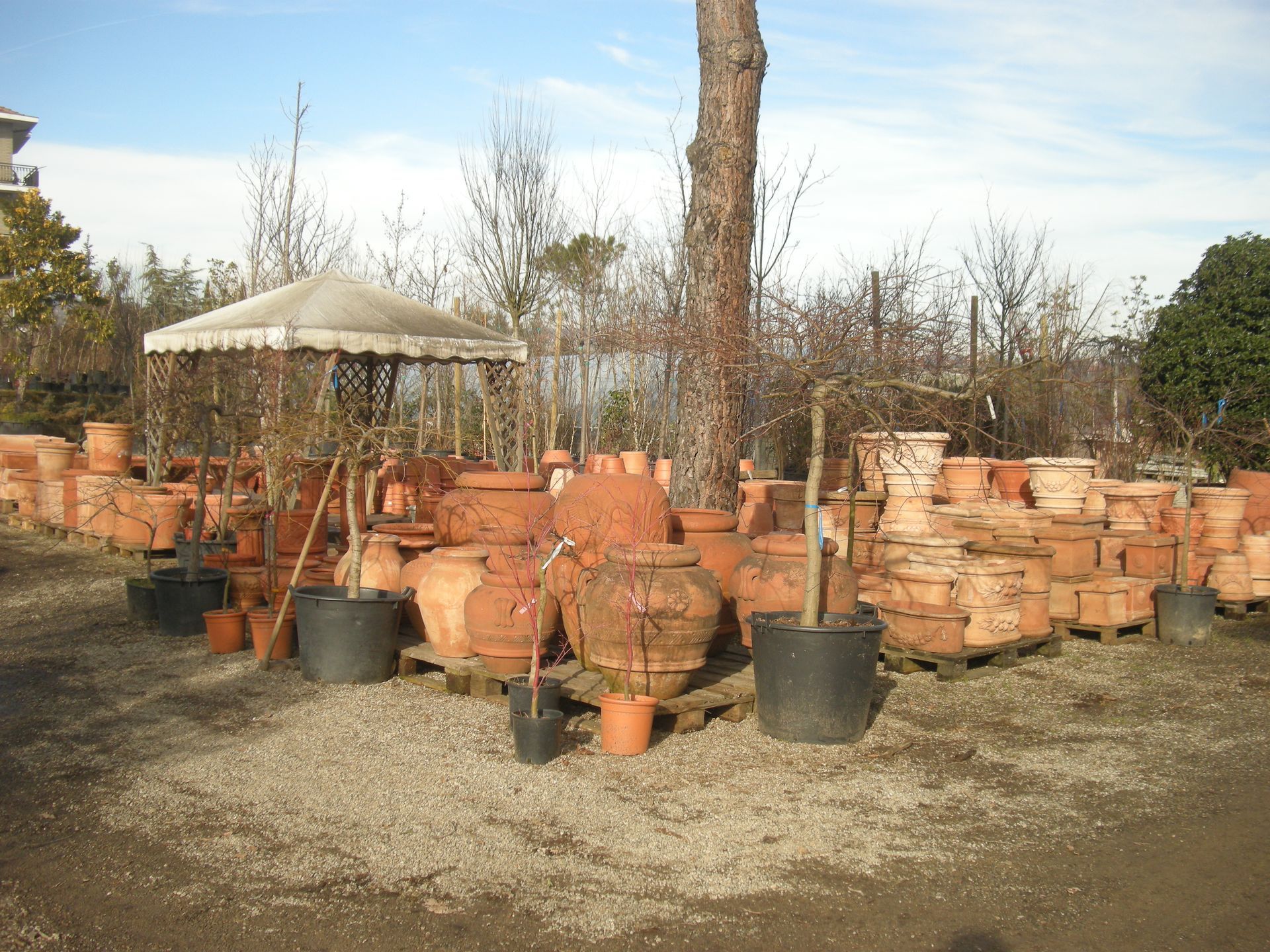 vendita di vasi per piante e fiori a Torino