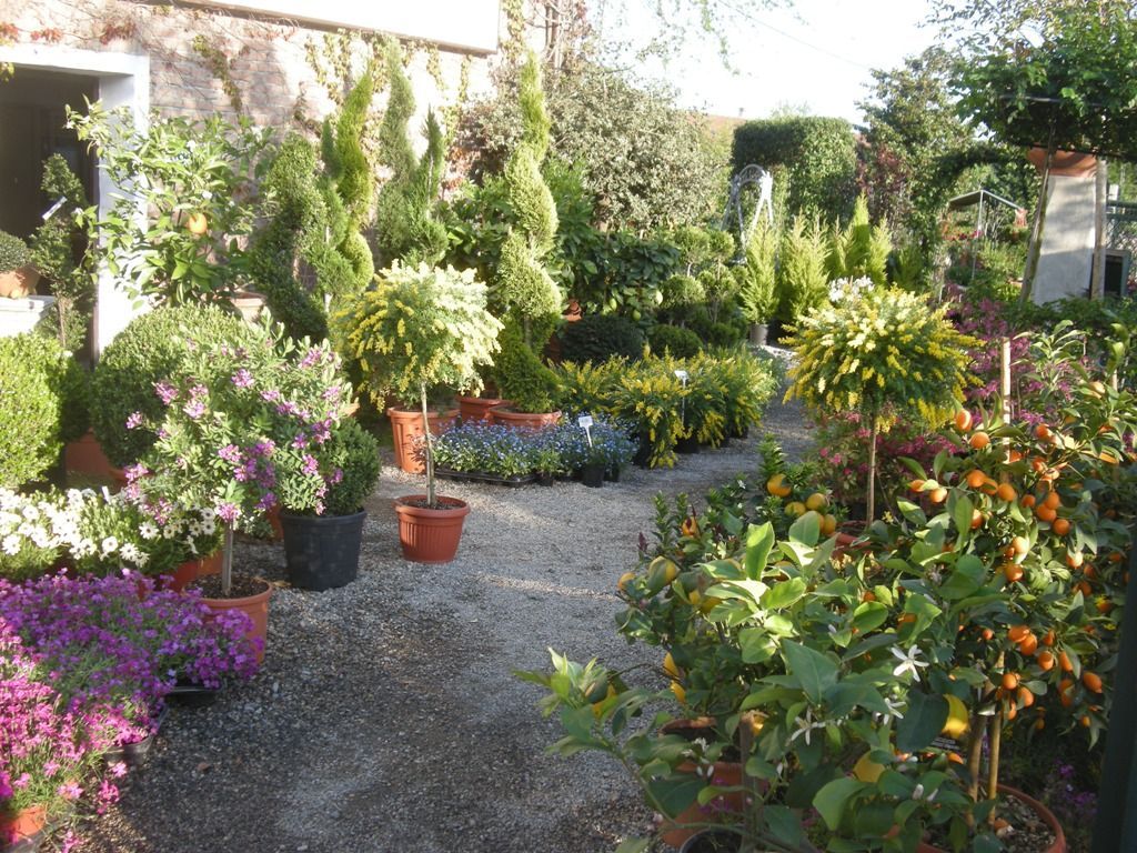 piante del vivaio a Torino Gardeland