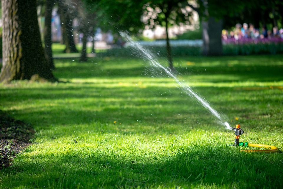 manutenzione del giardino a Torino