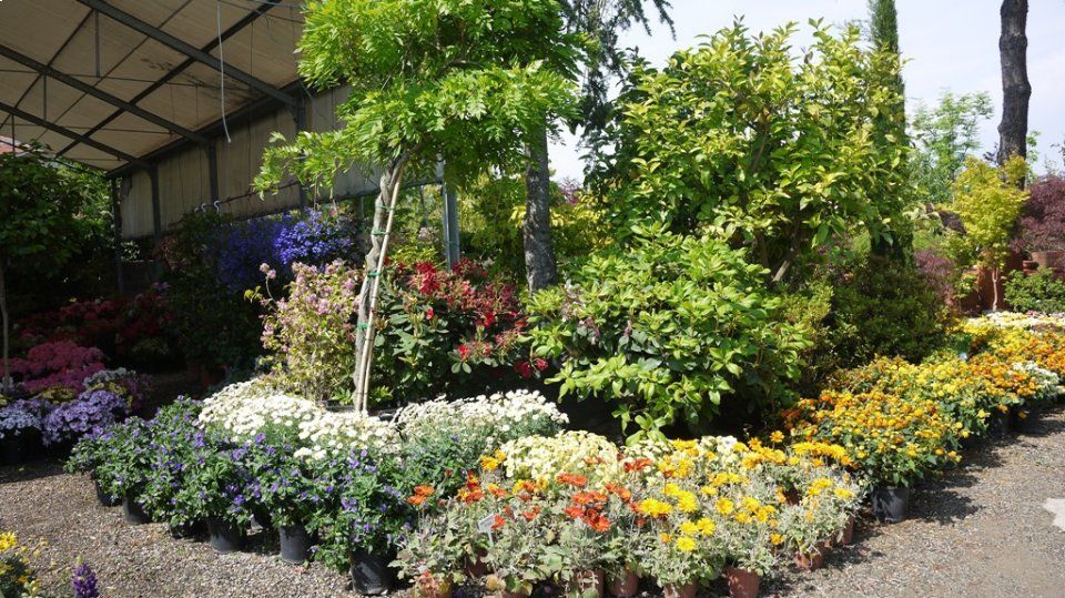 negozio di giardinaggio a Torino - Gardeland