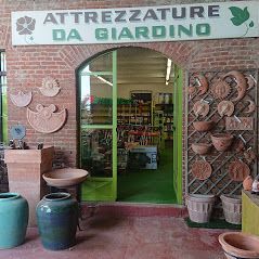 piante del negozio di giardinaggio a Torino