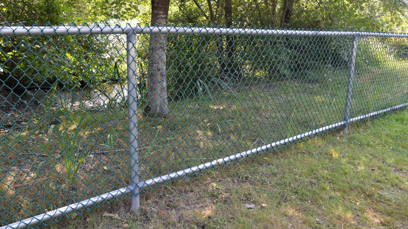 Chain-link fence along a grassy yard beside trees and bushes.