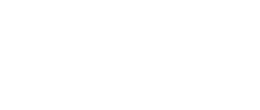 ontario disability service program
