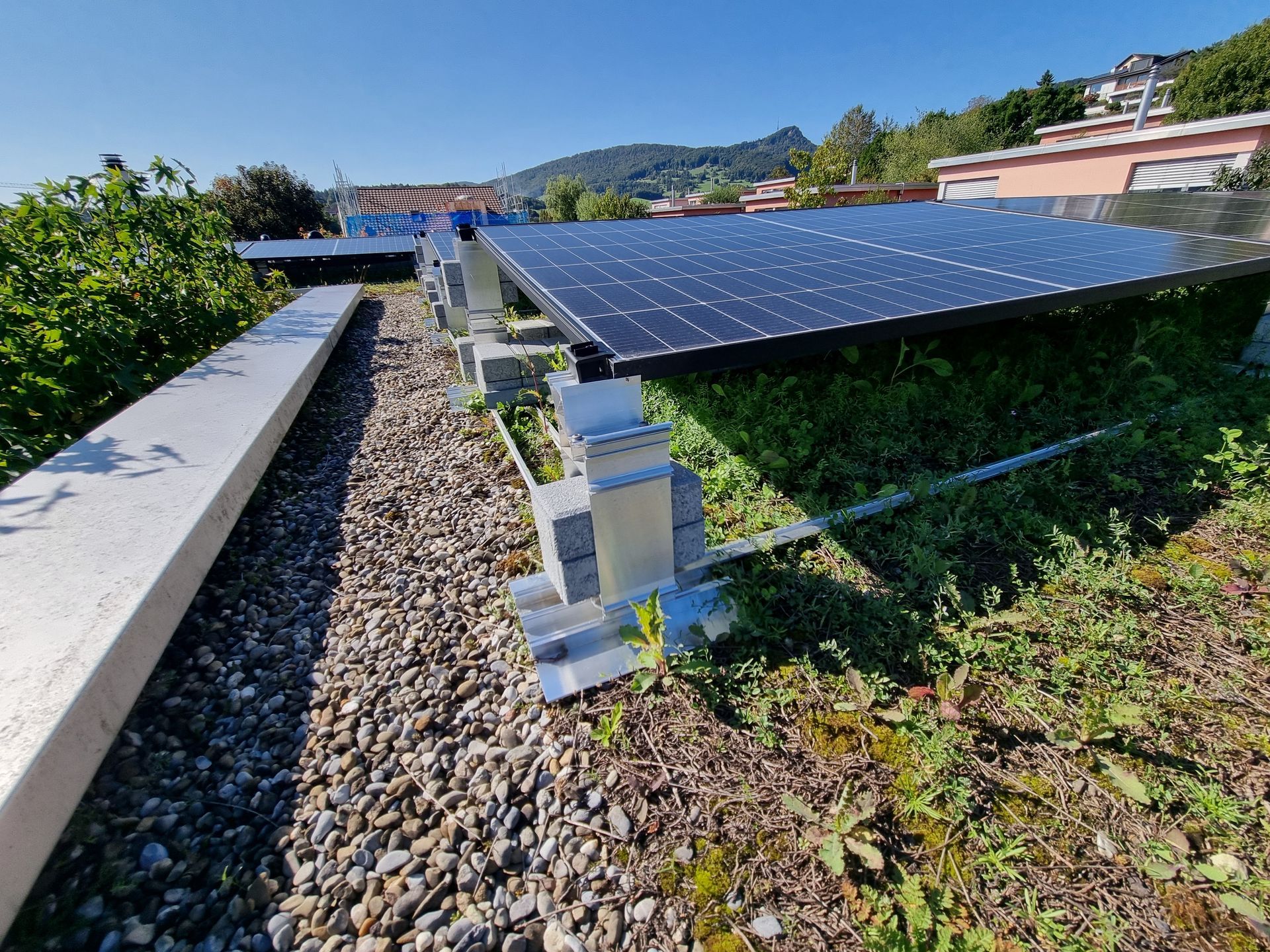 Hoch genug für das flanzenwachstum