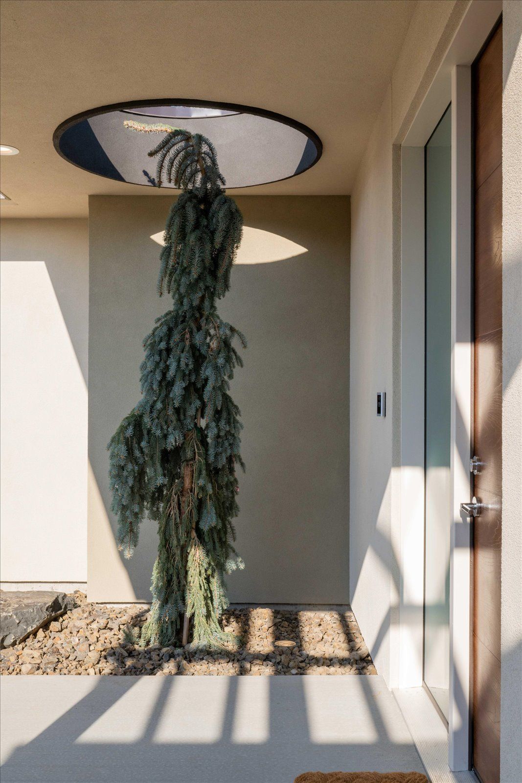 Entryway with a tall weeping evergreen tree, neutral walls, and a recessed ceiling light.