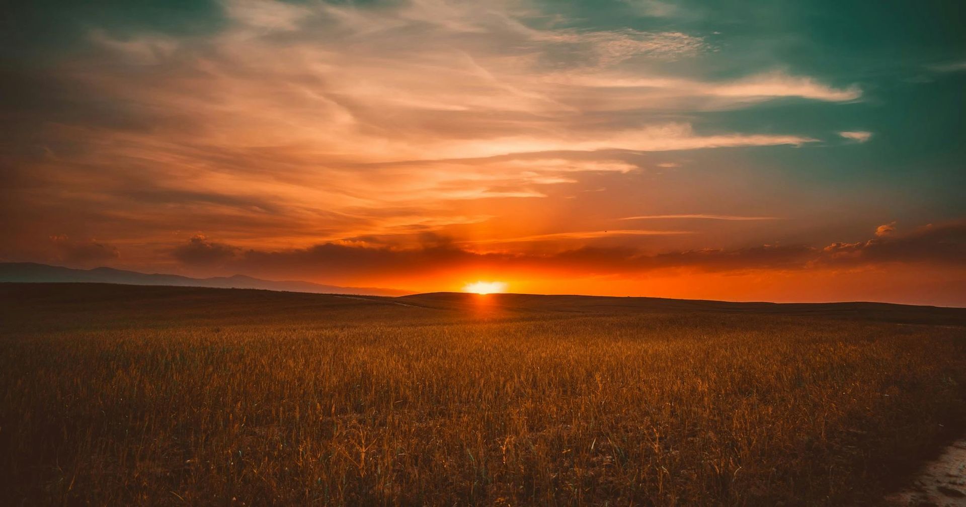 Sunset over a field of golden grass; vibrant orange, red, and teal sky.