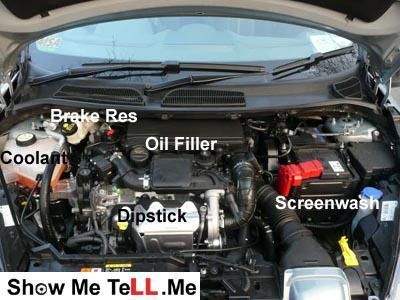 engine bay with identifying labels