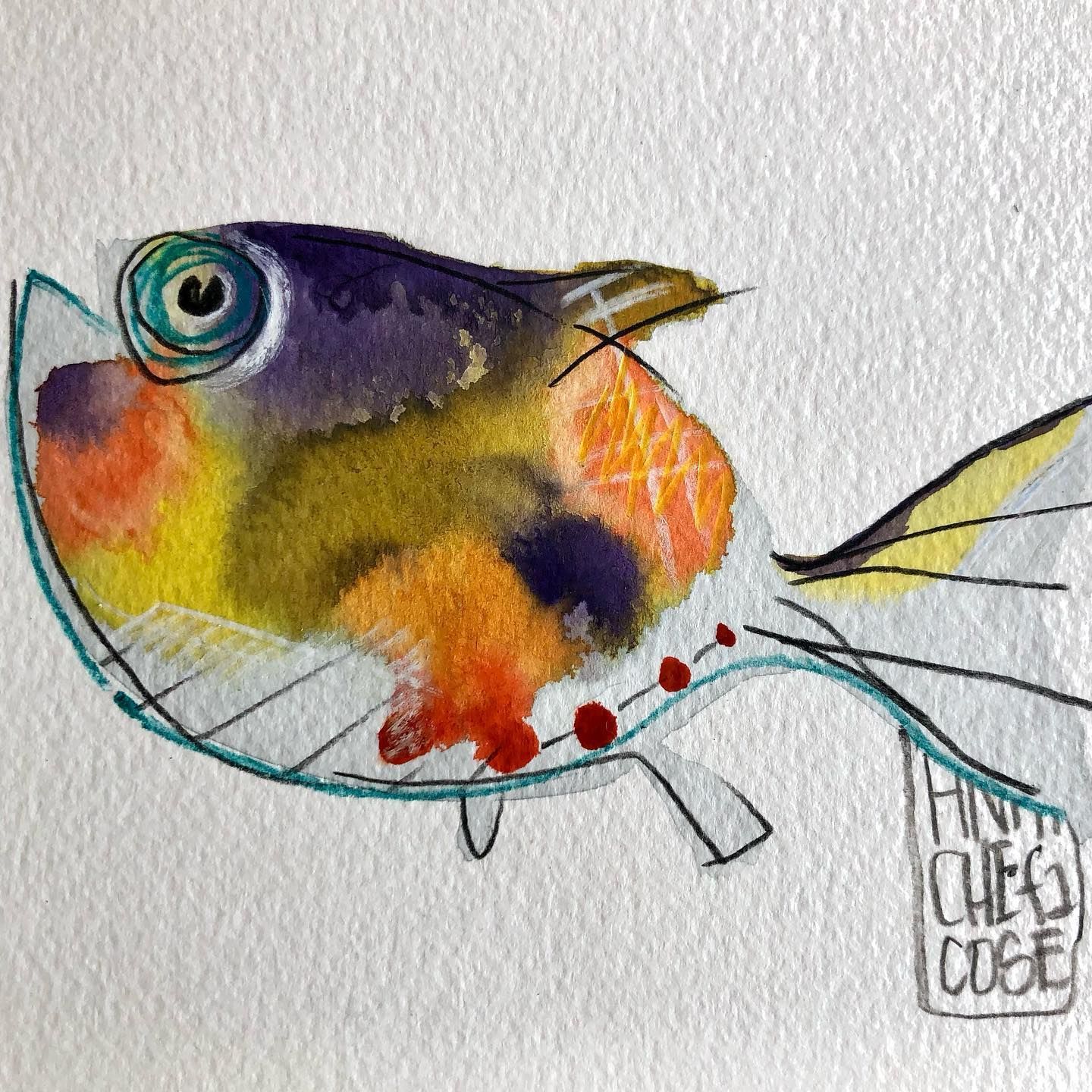 pesce dipinto, acquerello su carta