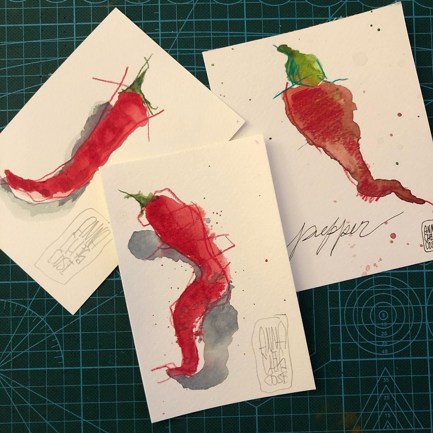 peperoncini, acquerelli su carta