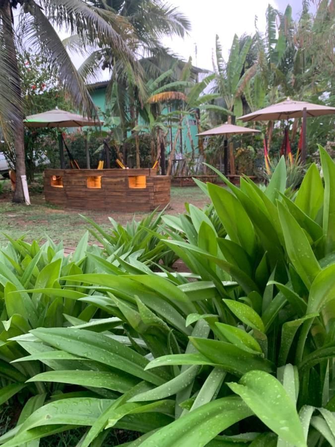 Um jardim verdejante com palmeiras e guarda-sóis ao fundo.