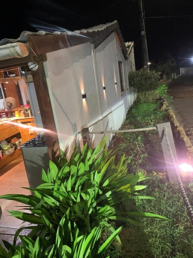 Uma casa com muitas plantas na frente dela à noite.