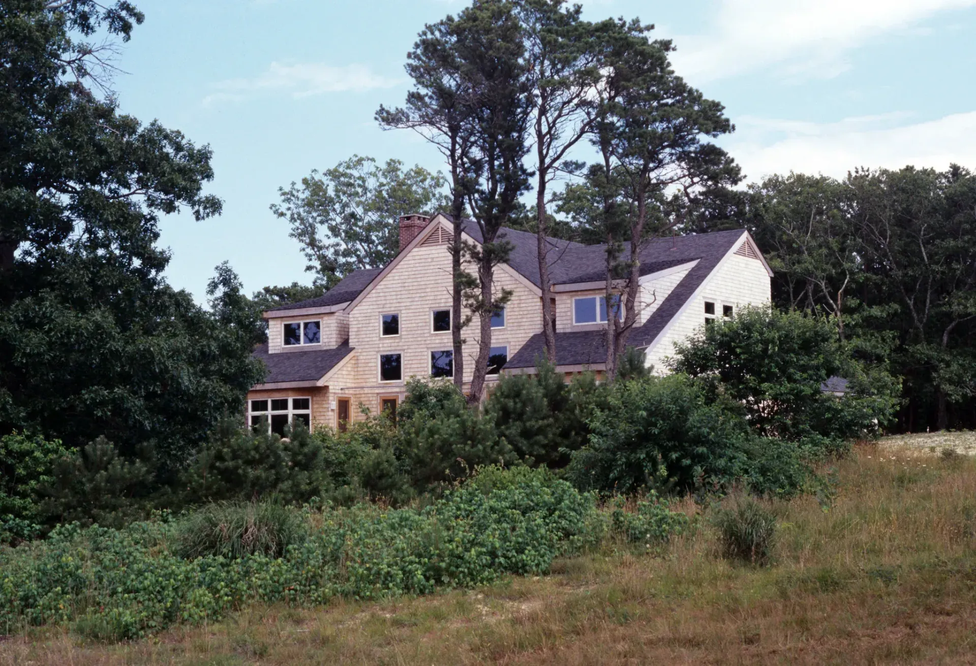 A two-story house overgrown with bushes and trees; the building has a pale exterior and multiple dark window openings.
