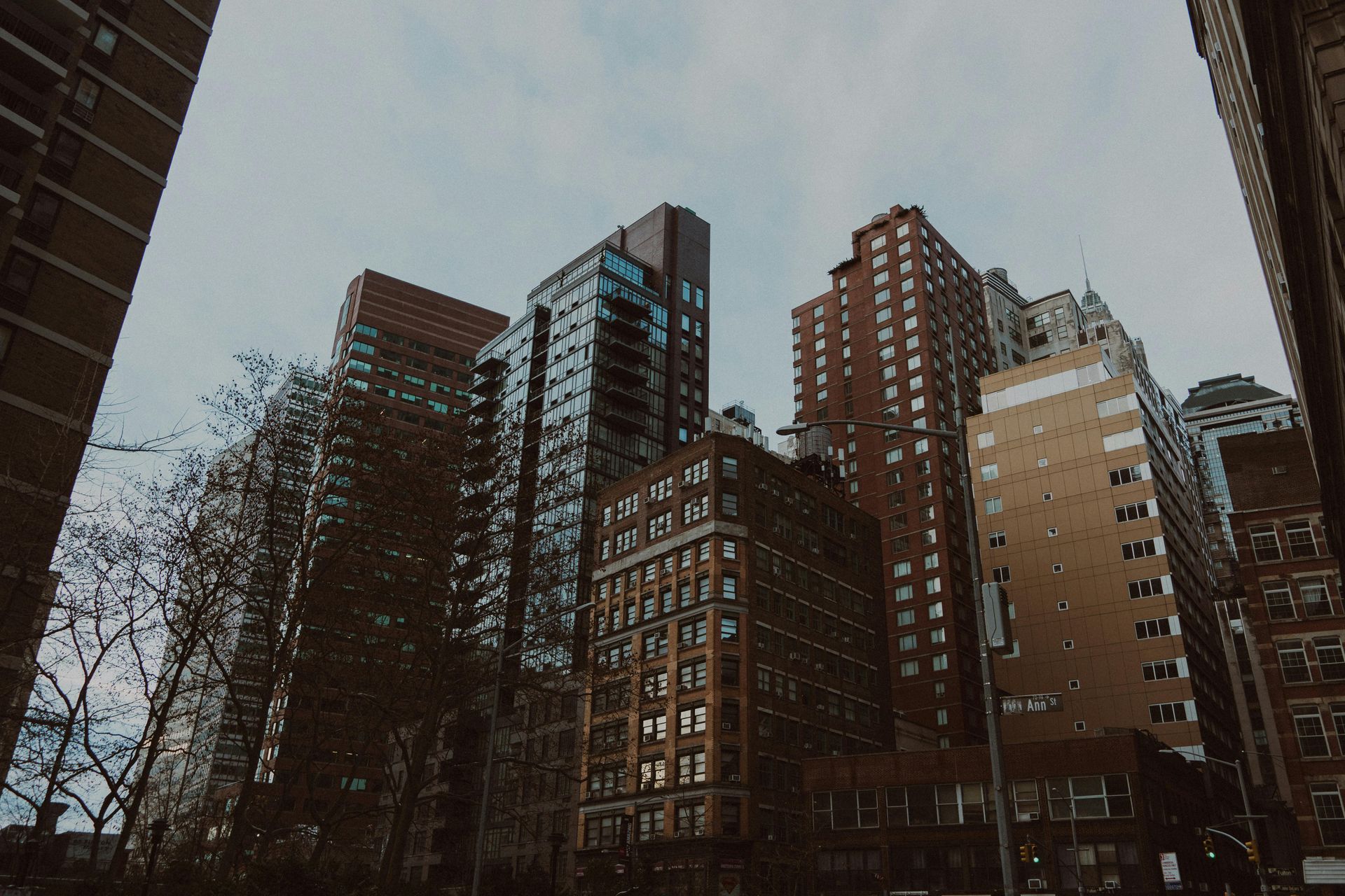 Tall buildings against a cloudy sky in a city. Brown and gold tones. Trees in the foreground.