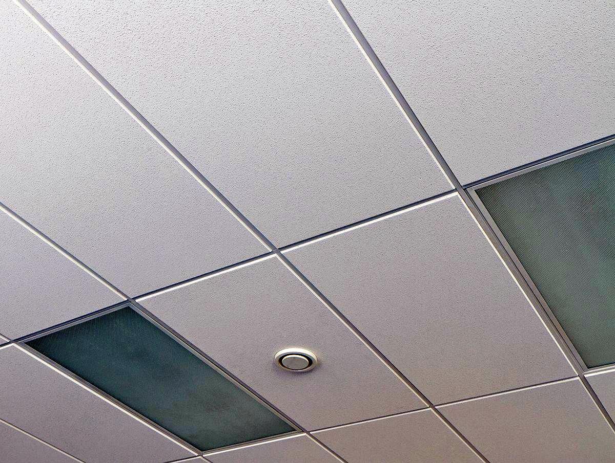 la commerciale edile