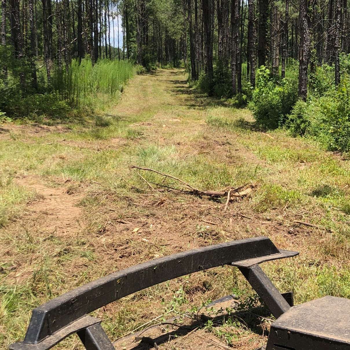 A tractor is pulling a trailer down a dirt road in the woods.