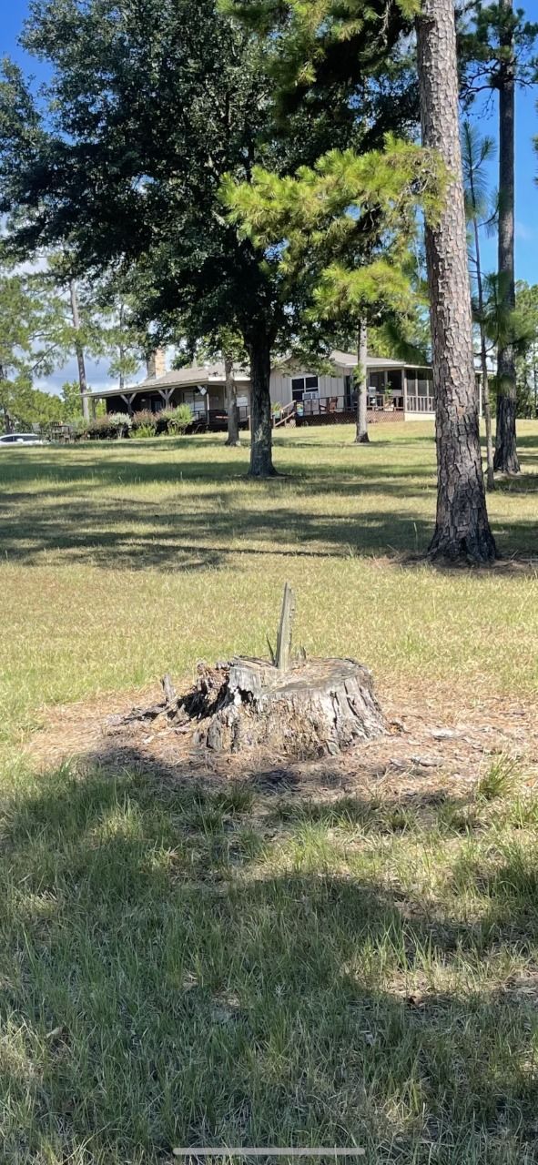A tree stump in the middle of a grassy field with a house in the background.