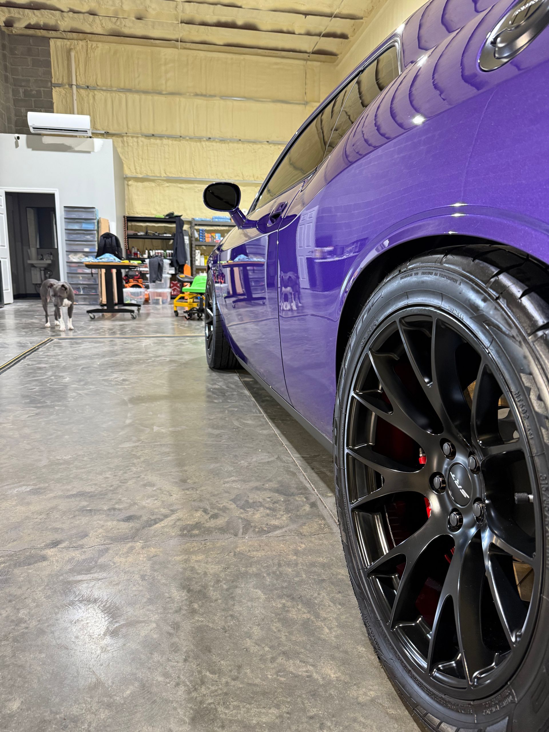 A purple car is parked in a garage with a dog in the background.