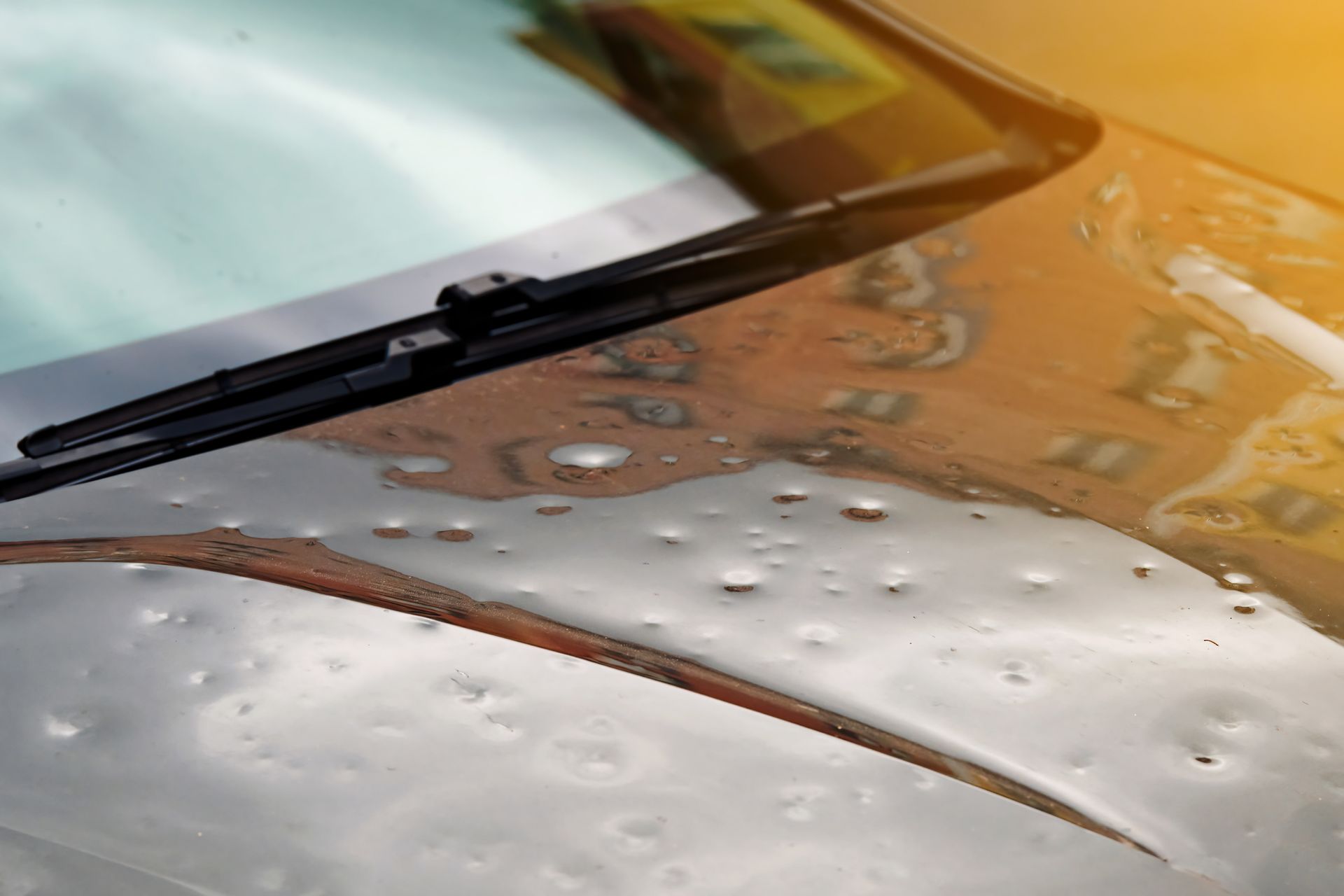 Car hood with water droplets, windshield wiper, and reflection of a building on the surface.