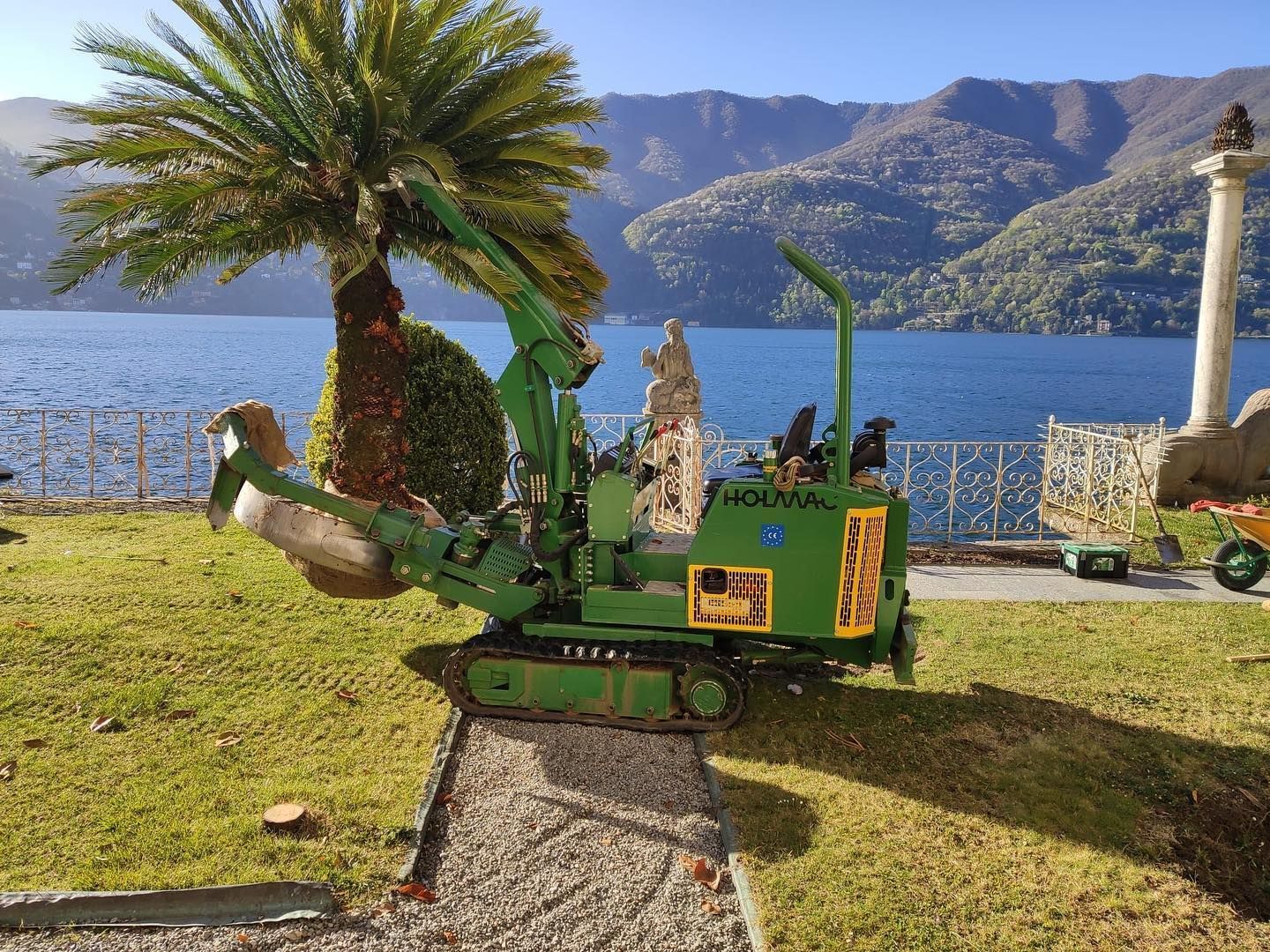 MANUTENZIONE AREE VERDI