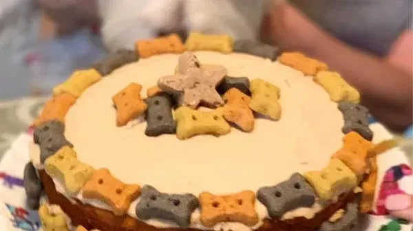 a cake decorated with dog treats and a star on top .