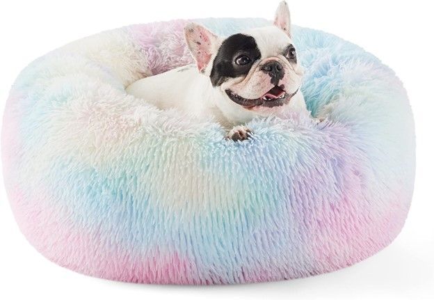 A small dog is laying in a rainbow colored dog bed.