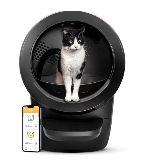 a black and white cat is sitting in a litter box next to a cell phone .
