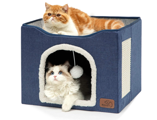Two cats are laying in a blue cat house
