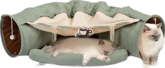 Two cats are laying in a cat tunnel.