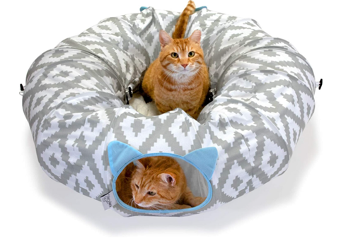 Two cats are sitting in a cat tunnel.