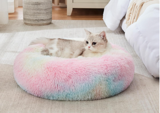 A cat is laying in a rainbow colored cat bed.