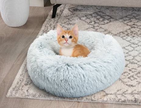 A kitten is sitting in a fluffy cat bed on a rug.