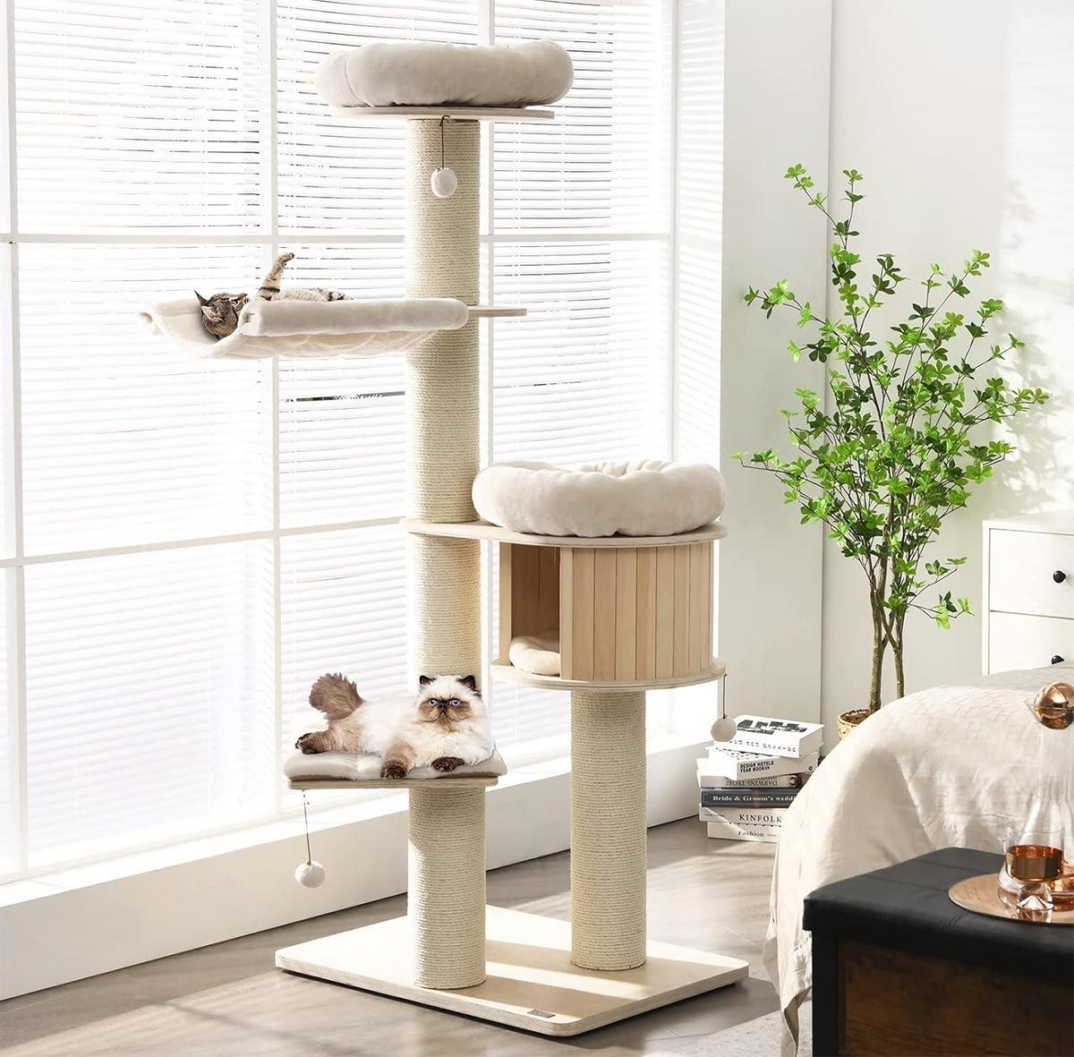 two cats are sitting on a cat tree in a bedroom next to a window .