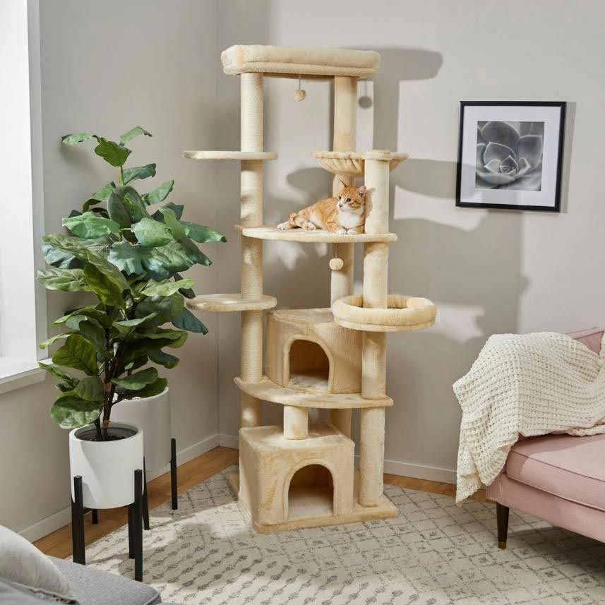 a cat is sitting on top of a cat tree in a living room .