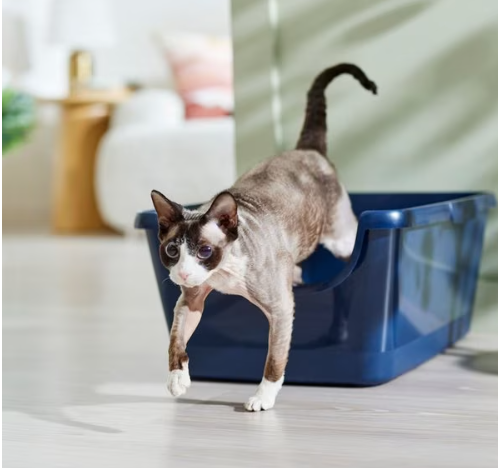 a cat is walking out of a blue litter box .