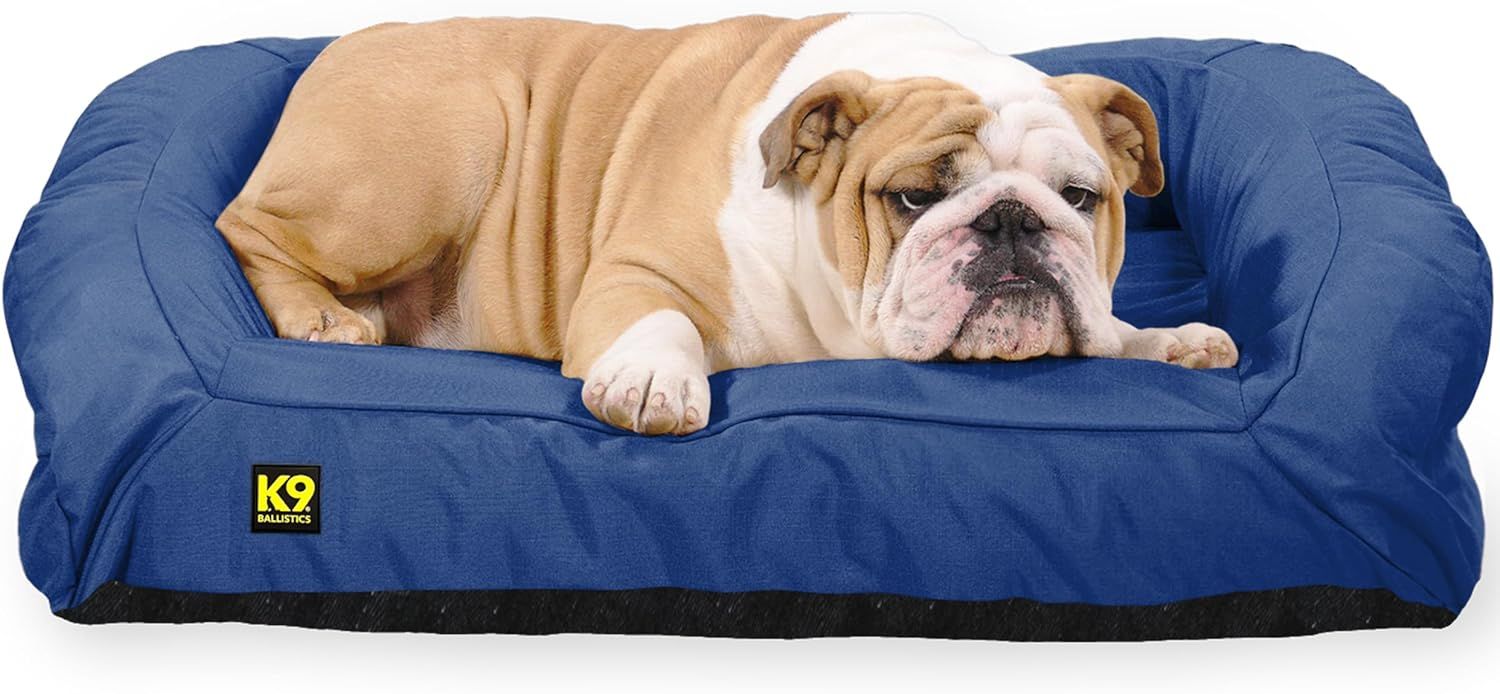 A blue dog bed with a black border on a white background