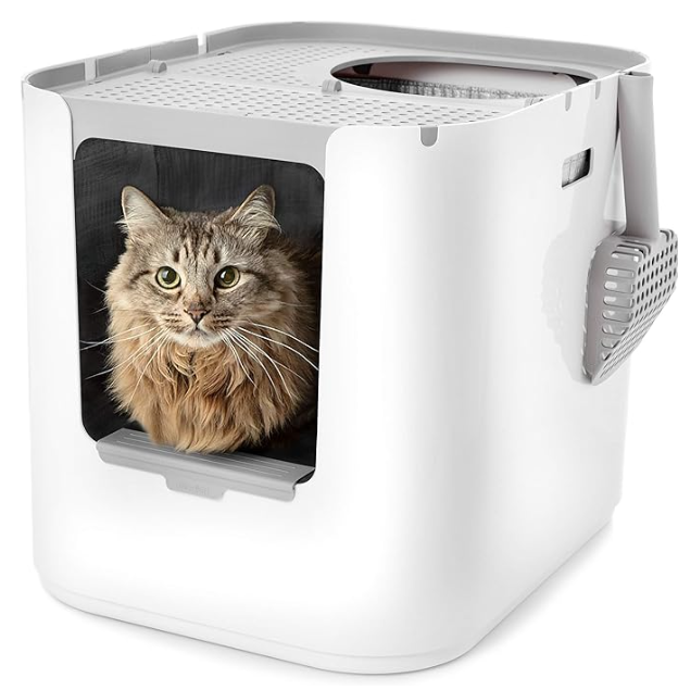 a cat is sitting in a white litter box with a litter scoop .