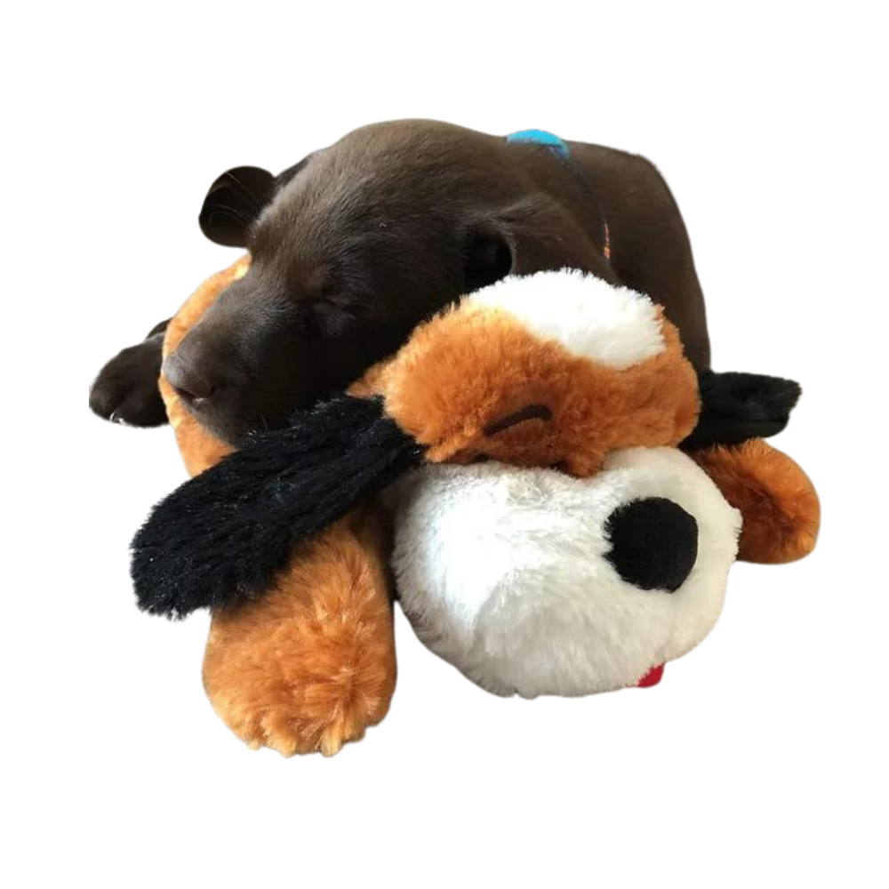 A brown puppy is sleeping with a stuffed dog
