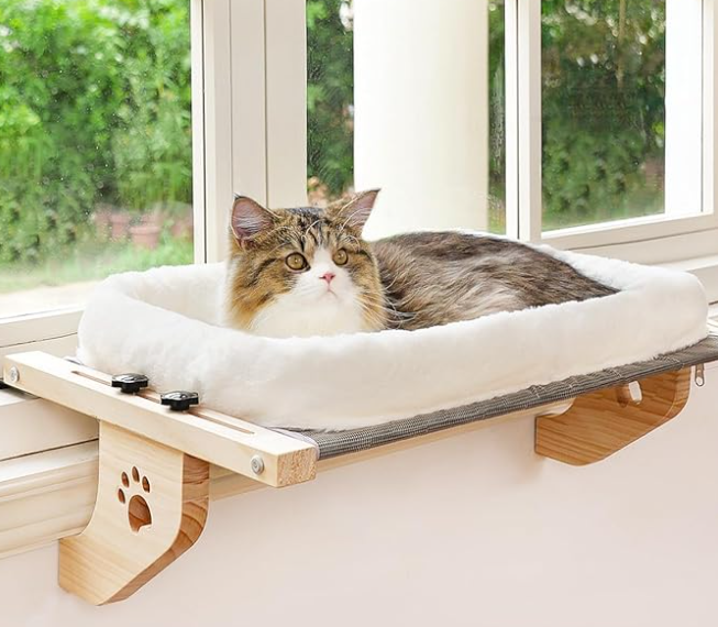 A cat is laying in a cat bed on a window sill.