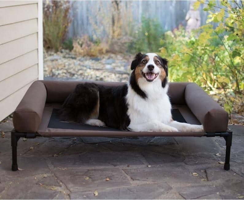 4. K&H Pet Products Original Bolster Pet Cot Elevated Dog Bed